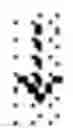 Fig. 02 - Small angiotensin peptide expression system in mammalian cells