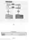 Fig. 06 - Small angiotensin peptide expression system in mammalian cells