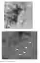 Fig. 01 - Substituted thiophene pentamers