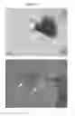 Fig. 05 - Substituted thiophene pentamers