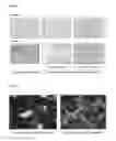 Fig. 02 - Prophylactic and/or therapeutic agent for dysmenorrhea