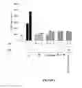 Fig. 02 - Nuclear receptor binding agents
