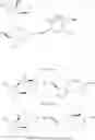 Fig. 31 - KETAL ESTERS OF ANHYDROPENTITOLS AND USES THEREOF