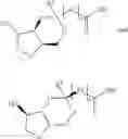 Fig. 56 - KETAL ESTERS OF ANHYDROPENTITOLS AND USES THEREOF