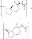 Fig. 58 - KETAL ESTERS OF ANHYDROPENTITOLS AND USES THEREOF