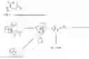 Fig. 04 - WATER SOLUBLE SOLID PHASE PEPTIDE SYNTHESIS