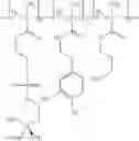 Fig. 09 - Copolymers having zwitterionic moieties and dihdroxyphenyl moieties and medical devices coated with the copolymers