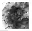 Fig. 01 - Transparent and flame retarding polyester resin composition and preparation method thereof