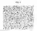 Fig. 06 - Polymeric Compositions and Polymerization Initiators Using Photo-Peroxidation Process