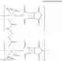 Fig. 13 - Polyimide precursor composition, method for preparing polyimide, polyimide prepared by using the method, and film including the polyimide