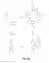 Fig. 10 - METHODS, COMPOSITIONS, AND APPARATUSES FOR FORMING MACROCYCLIC COMPOUNDS