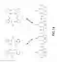 Fig. 19 - METHODS, COMPOSITIONS, AND APPARATUSES FOR FORMING MACROCYCLIC COMPOUNDS