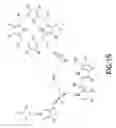 Fig. 20 - METHODS, COMPOSITIONS, AND APPARATUSES FOR FORMING MACROCYCLIC COMPOUNDS