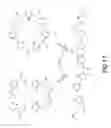 Fig. 22 - METHODS, COMPOSITIONS, AND APPARATUSES FOR FORMING MACROCYCLIC COMPOUNDS
