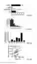 Fig. 06 - Means and methods for producing high affinity antibodies