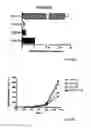 Fig. 07 - Means and methods for producing high affinity antibodies