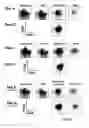 Fig. 14 - Means and methods for producing high affinity antibodies