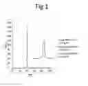 Fig. 02 - Method for the production of domain antibodies
