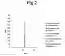 Fig. 03 - Method for the production of domain antibodies
