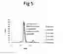 Fig. 06 - Method for the production of domain antibodies