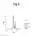 Fig. 07 - Method for the production of domain antibodies