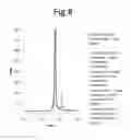 Fig. 09 - Method for the production of domain antibodies