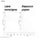 Fig. 20 - Gram-positive bacteria specific binding compounds