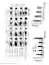 Fig. 04 - Methods Of Producing Humanized Non-Human Mammals