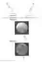 Fig. 01 - Coating agent comprising hydroxyalkyl cellulose