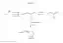 Fig. 02 - Process for manufacture of optically active 2-(acyloxymethyl)-1,3-oxathiolanes