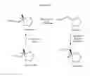 Fig. 03 - Process for manufacture of optically active 2-(acyloxymethyl)-1,3-oxathiolanes
