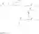Fig. 12 - Trihydroxy polyunsaturated eicosanoid derivatives