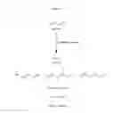 Fig. 03 - Fuel compositions comprising isoprene derivatives