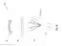Fig. 23 - Tissue restraining devices and methods of use