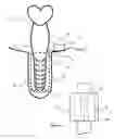 Fig. 03 - SYSTEM AND METHOD FOR TREATING ERECTILE DYSFUNCTION