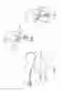 Fig. 02 - Adjustable length rear tip extender for penile prosthesis