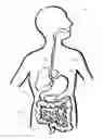 Fig. 01 - CAPSULE ENDOSCOPE