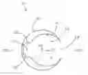 Fig. 01 - Accessory clip for an endoscope