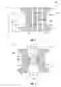 Fig. 06 - Integral foam port
