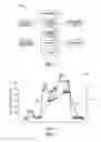 Fig. 05 - Physiologic response to posture
