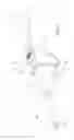Fig. 02 - Coring tissue biopsy needle and method of use