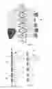 Fig. 04 - Support and containment structure for persons