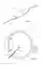 Fig. 03 - Vitrectomy probe with adjustable cutter port size
