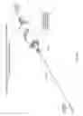 Fig. 37 - METHOD OF INSTALLING A CANNULA ASSEMBLY WITHIN A COAXIALLY-DRIVEN TISSUE ASPIRATION INSTRUMENT