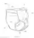 Fig. 02 - Attachment areas for wearable absorbent articles