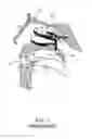 Fig. 02 - Enhanced systems, processes and apparatus for facilitating intranasal treatment of a patient and products thereby