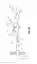 Fig. 19 - Method for ablating body tissue