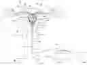 Fig. 01 - GLOBAL ENDOMETRIAL ABLATION DEVICE