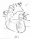 Fig. 02 - Methods and apparatus for transpericardial left atrial appendage closure