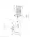 Fig. 22 - GASTROINTESTINAL IMPLANT DEVICE